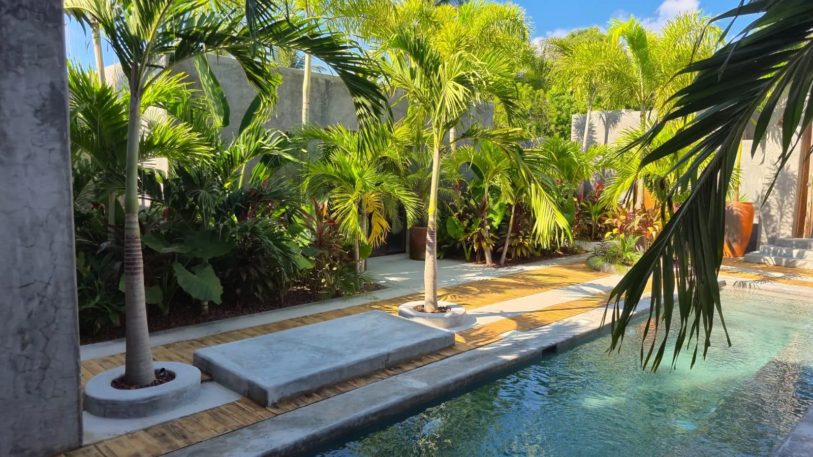 Contemporary Tropical Residence with Private Pool & Rooftop Ocean Views in Puertecito